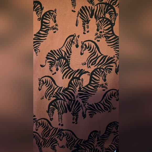 Zara Zebra Print Dress - size small - Picture 10 of 11